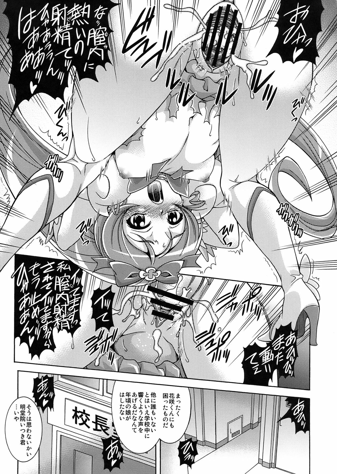 (C78) [K2 Tomo no Kai (Mizuki)] Hino Hikari Kageru (HeartCatch Precure!) page 5 full