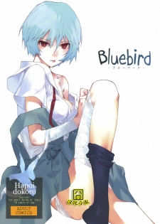 (C77) [Hapoi-dokoro (Okazaki Takeshi)] Bluebird (Neon Genesis Evangelion) [Chinese] [囧囧汉化小队]