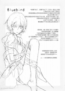(C77) [Hapoi-dokoro (Okazaki Takeshi)] Bluebird (Neon Genesis Evangelion) [Chinese] [51FE汉化组] - page 24