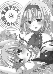 (C77) [Custom Size (Sakurai Makoto)] Hentai Alice to Toraware Marisa (Touhou Project) [Chinese] [萌會漢化組] - page 3