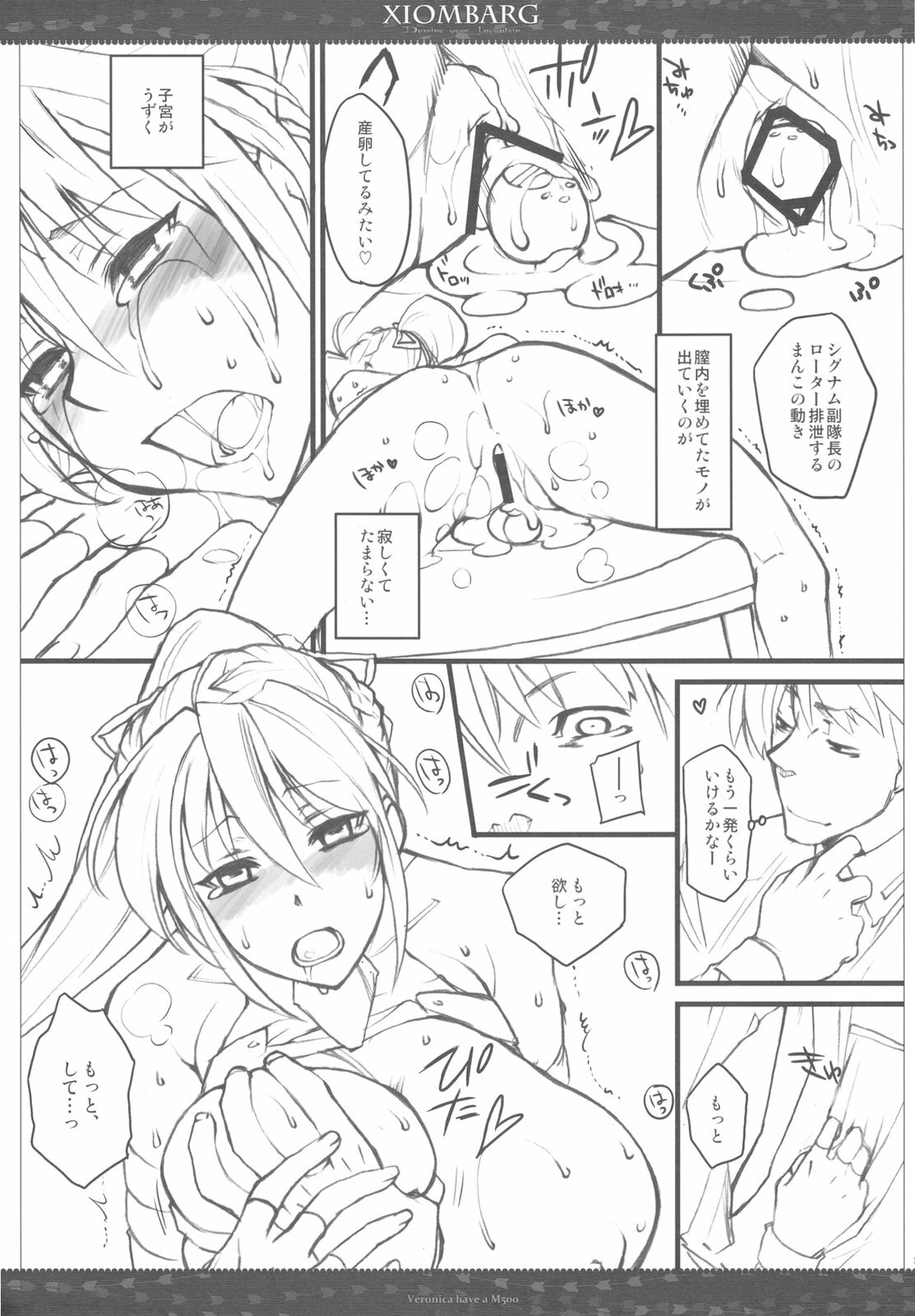 (C79) [VM500 (Kome)] XIOMBARG Preview ver (Mahou Shoujo Lyrical Nanoha) page 17 full