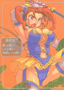 (C69) [Gadoujuku (Kawacchi Hirohiro)] Oppai Ippai Yume Oppai (Dragon Quest VIII)