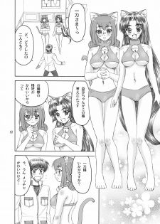 [Yasrin-Do (Yasu Rintarou)] Nyan Nyan * Shao Nyan (Shin Koihime Musou) [Digital] - page 12