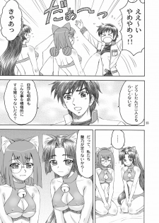 [Yasrin-Do (Yasu Rintarou)] Nyan Nyan * Shao Nyan (Shin Koihime Musou) [Digital] - page 15