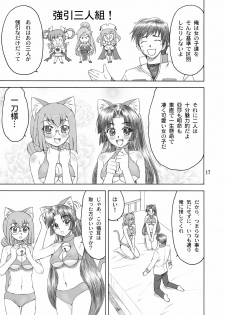 [Yasrin-Do (Yasu Rintarou)] Nyan Nyan * Shao Nyan (Shin Koihime Musou) [Digital] - page 17