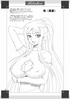 [Yasrin-Do (Yasu Rintarou)] Nyan Nyan * Shao Nyan (Shin Koihime Musou) [Digital] - page 38