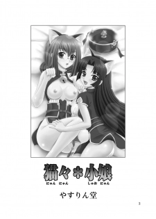 [Yasrin-Do (Yasu Rintarou)] Nyan Nyan * Shao Nyan (Shin Koihime Musou) [Digital] - page 3