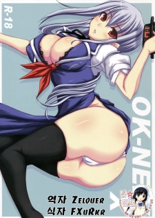 (C75) [Ruciedo (jema)] OK-NE! XX (Touhou Project) [Korean] [팀 면갤]