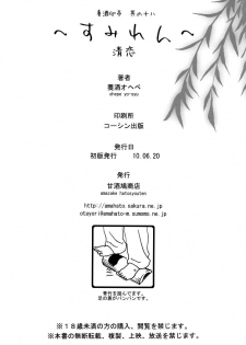 (Tora Matsuri 2010) [Amazake Hatosyo-ten (Yoshu Ohepe)] Sumiren (King of Fighters) [Russian] [Mamoru] - page 28