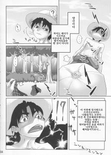 (C76) [kaibido (mokei)] Gensoukyou dewa Yoku Aru Koto | 환상향에는 자주 있는 이야기 (Touhou Project) [Korean] [팀☆면갤] - page 4