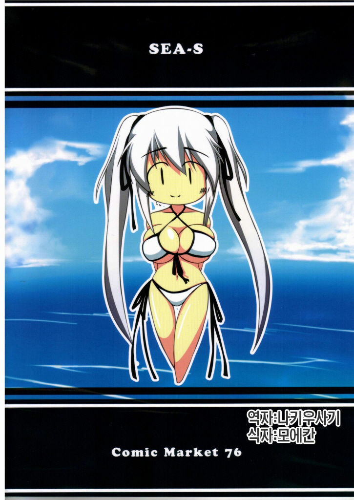 (C76) [SEA-S (Umitsubame)] MABINOGI in a skimpy swimsuit (Mabinogi) [Korean] [나키우사기] page 15 full