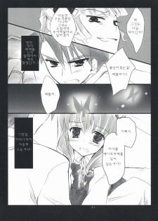 (C76) [FlyingCat (Nekou Izuru)] The Queen Of Nightmare (Umineko no Naku Koro ni) [Korean] [팀 면갤] - page 11