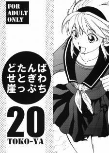 (SC50) [Toko-ya (Kitoen)] Dotanba Setogiwa Gakeppuchi 20 (Breath of Fire)