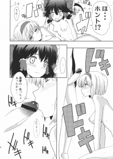 (C78) [Jalapeno Chips (Uro)] Heart Potion (Touhou Project) - page 14