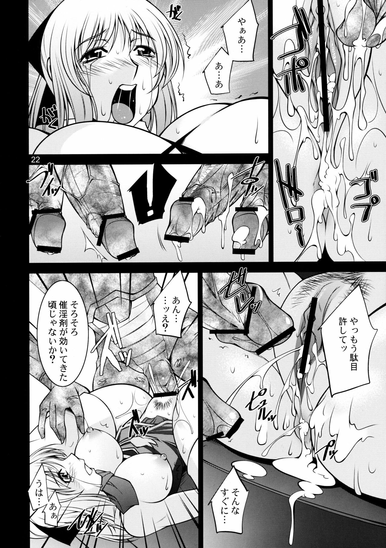 (C75) [Manamagu (zen9)] Breeding X Sisters (Soul Calibur) page 21 full