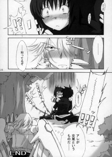 (SC22) [BlueMage (Aoi Manabu)] H de Kirei na Onee-san MAXIMUM (Busou Renkin) - page 26