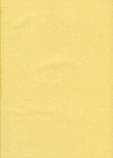 (SC22) [BlueMage (Aoi Manabu)] H de Kirei na Onee-san MAXIMUM (Busou Renkin) - page 2