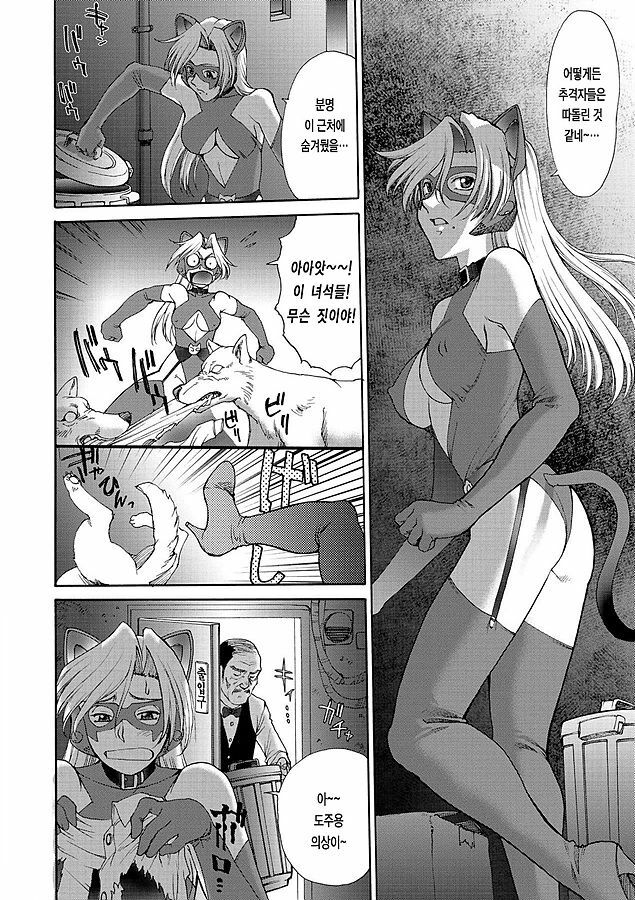[ZOL] Fighting Beauty (Korean) page 170 full