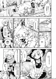 (C76) [PARANOIA CAT (Fujiwara Shunichi)] Touhou Ukiyo Emaki Milky Way no Setsunateki Katsu Jounetsuteki na Majutsufu (Touhou Project) [Chinese] [萌の羽翼汉化组] - page 18