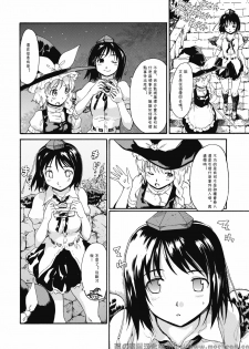(C76) [PARANOIA CAT (Fujiwara Shunichi)] Touhou Ukiyo Emaki Milky Way no Setsunateki Katsu Jounetsuteki na Majutsufu (Touhou Project) [Chinese] [萌の羽翼汉化组] - page 7