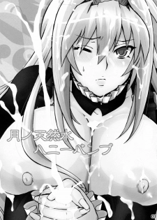(C76) [Honey Bump (Nakatsugawa Minoru)] Tsuki no Tennensui (Sekirei) [Spanish] - page 3