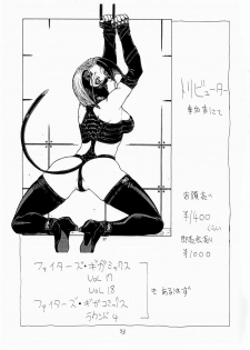 [From Japan (Aki Kyouma)] FIGHTERS GiGaMIX FGM vol.19 (Dead or Alive) [English] {Kizlan} - page 32
