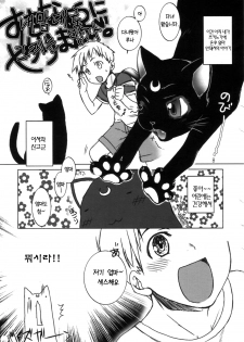 (C72) [L.L.MILK (Sumeragi Kohaku)] Mugen Rasen | 무한나선 (Bishoujo Senshi Sailor Moon) [Korean] [Project H] - page 50