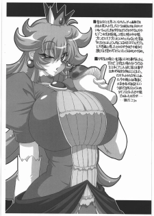 (C77) [NNZ DAN (Great Magami)] NNZ Dan Tsuushin Metta ni Kakanai Chara Special (Various) - page 9
