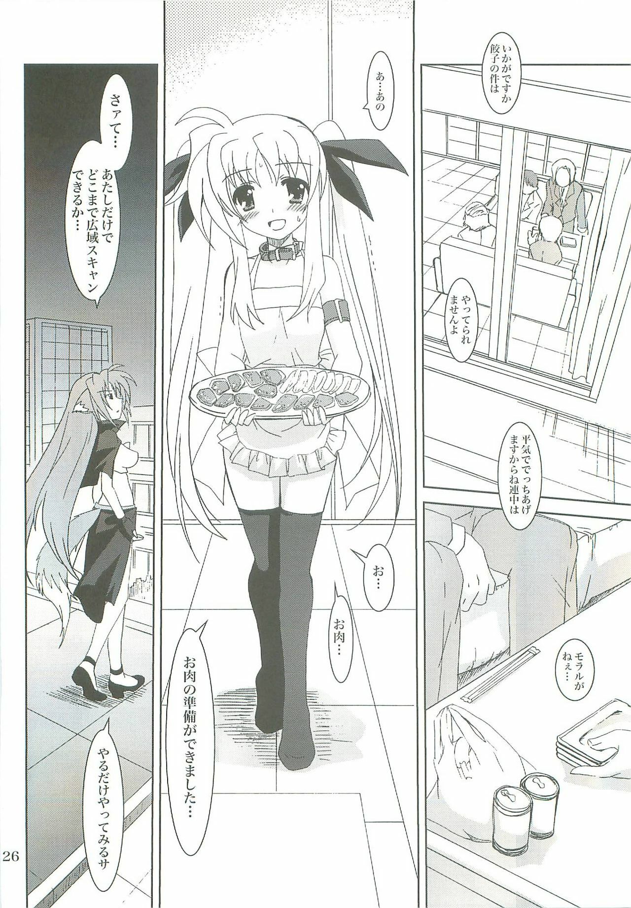 (COMIC1☆2) [PLUM (Kanna)] Mahou Shoujo Magical SEED LOGIC (Mahou Shoujo Lyrical Nanoha) page 26 full