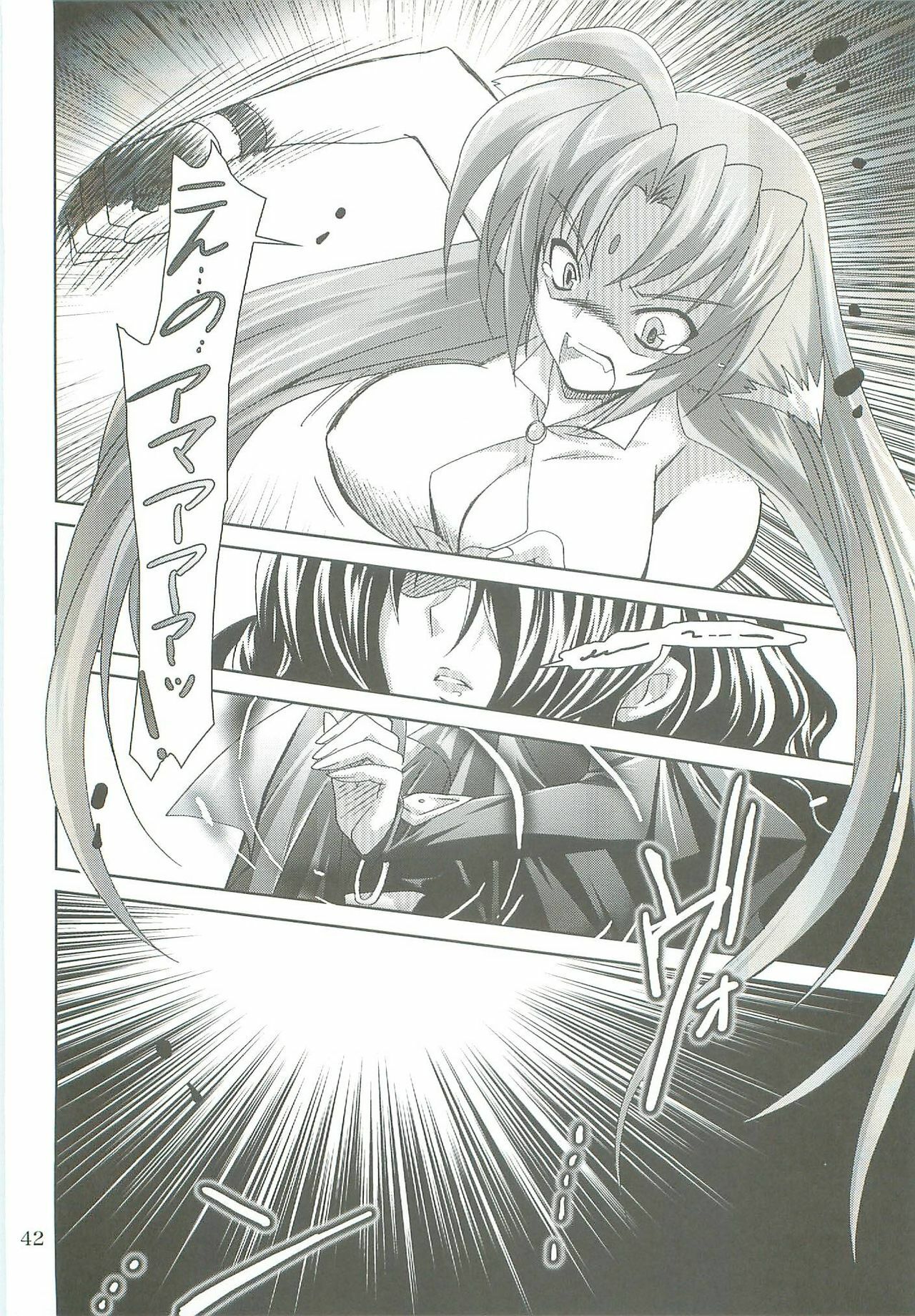 (COMIC1☆2) [PLUM (Kanna)] Mahou Shoujo Magical SEED LOGIC (Mahou Shoujo Lyrical Nanoha) page 42 full