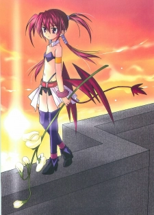 (COMIC1☆2) [PLUM (Kanna)] Mahou Shoujo Magical SEED LOGIC (Mahou Shoujo Lyrical Nanoha) - page 9