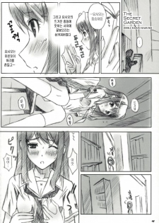 (SC38) [Happy Paranoia, Shikkokuno J.P.S. (Wanashiro Giovanna, Hasumi Elan)] ...to be kissin' you GOD WIND (KiMiKiSS) [Korean] [Project H] - page 3