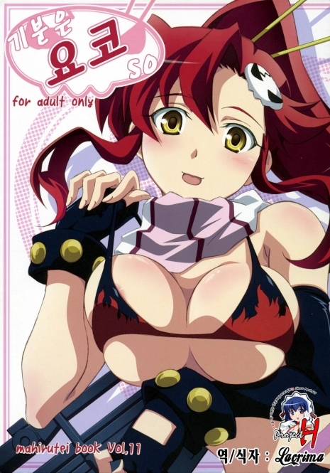 (C72) [Mahirutei (Izumi Mahiru)] Kibun wa Yoko-so (Tengen Toppa Gurren Lagann) [Korean]