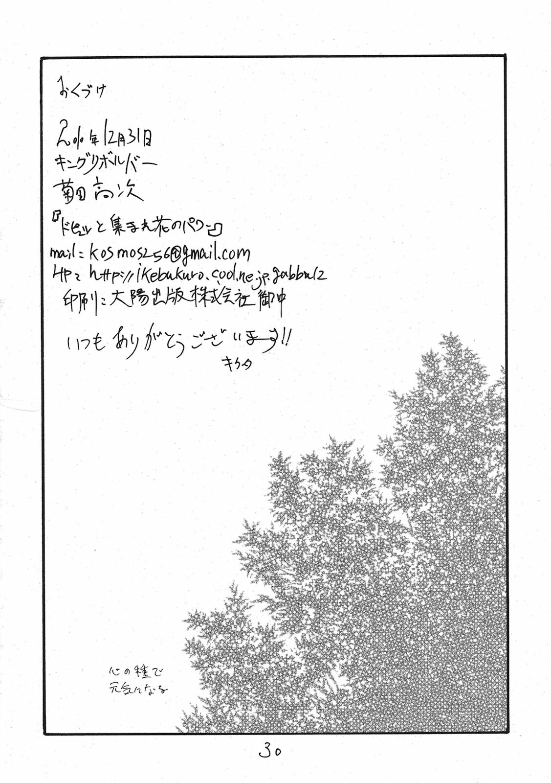 (C79) [King Revolver (Kikuta Kouji)] Dopyutto Atsumare Hana no Power (HeartCatch Precure!) page 29 full