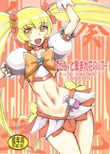 (C79) [King Revolver (Kikuta Kouji)] Dopyutto Atsumare Hana no Power (HeartCatch Precure!)