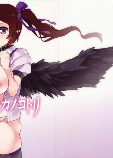 (C79) [waterwheel (Shirota Dai)] Kago no naka no kotori (Touhou Project)