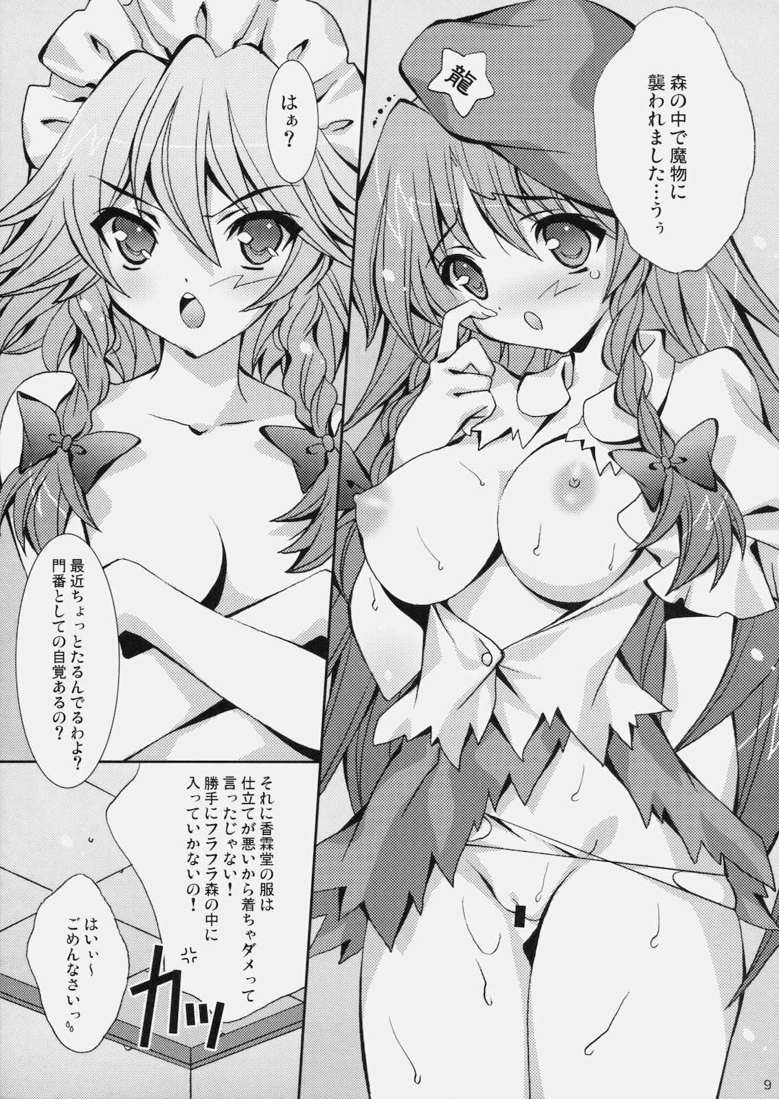 (Reitaisai 8) [Liz (Satomi Hinako)] Tawawabiyori + PLUS (Touhou Project) page 9 full