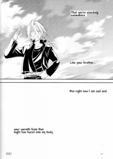 Empty Shell (Full Metal Alchemist) - page 29