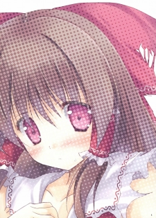 (Reitaisai 8EX) [Hacca Ame (Hakka Yuki)] Hakka Candy Colorful (Touhou Project) - page 4