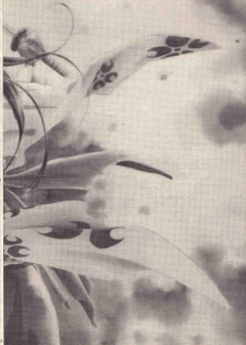 [Rocket Kyoudai (Rocket 1 Gou)] Shoujo A (Sakura Taisen) - page 3