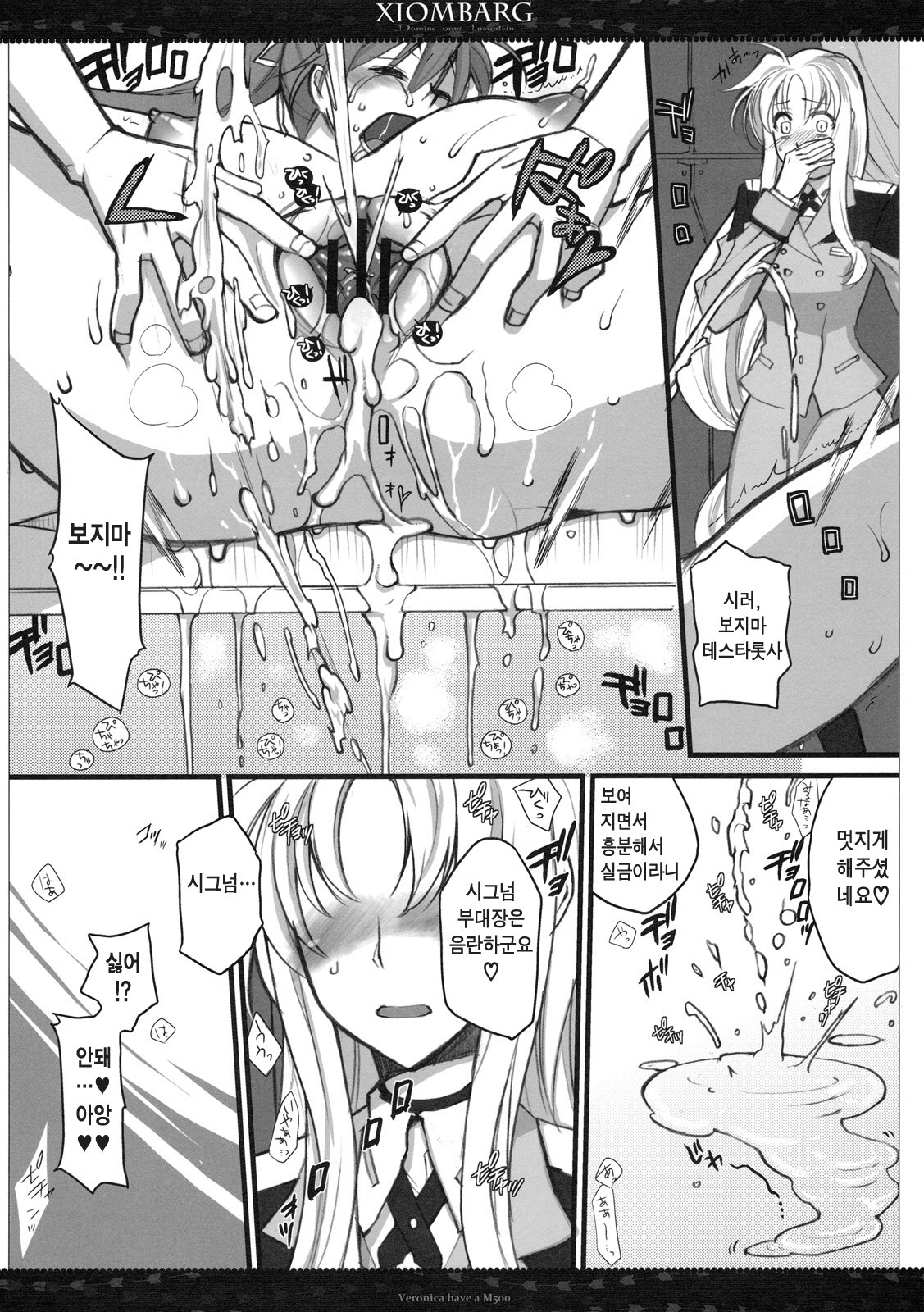 (SC50) [VM500 (Kome)] Xiombarg (Mahou Shoujo Lyrical Nanoha StrikerS) [Korean] [Team H] page 23 full