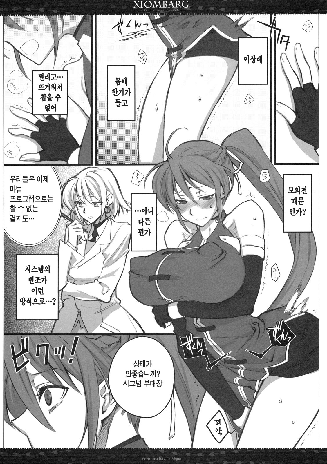 (SC50) [VM500 (Kome)] Xiombarg (Mahou Shoujo Lyrical Nanoha StrikerS) [Korean] [Team H] page 3 full