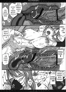(SC50) [VM500 (Kome)] Xiombarg (Mahou Shoujo Lyrical Nanoha StrikerS) [Korean] [Team H] - page 18