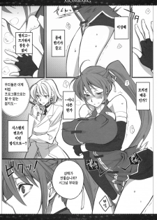 (SC50) [VM500 (Kome)] Xiombarg (Mahou Shoujo Lyrical Nanoha StrikerS) [Korean] [Team H] - page 3