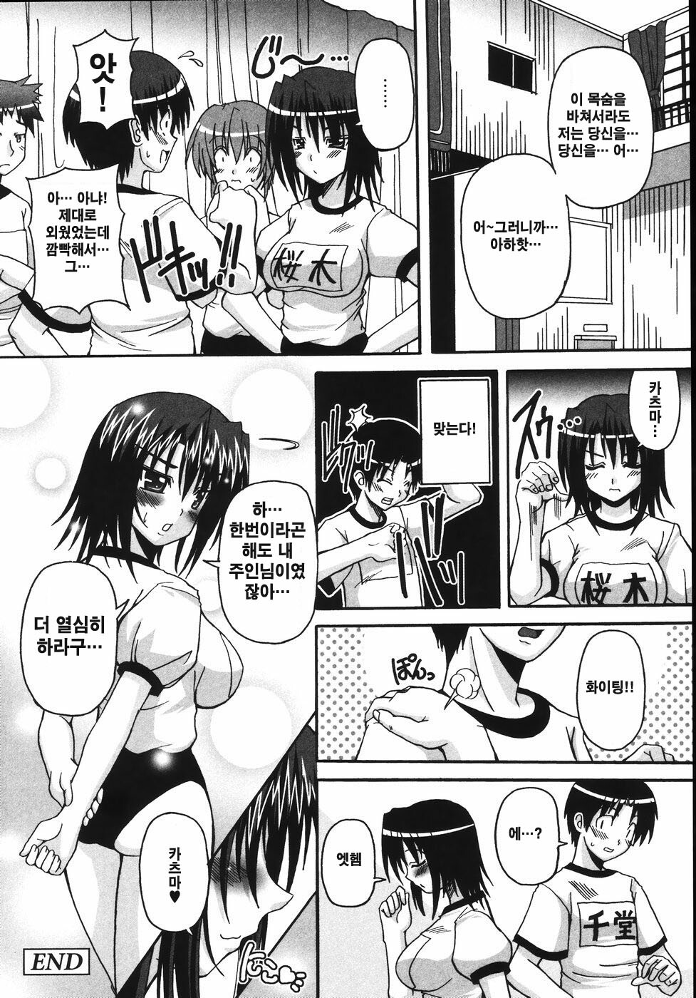 [KOJIROU] Mune Ippai no Hagetai [Korean] page 156 full