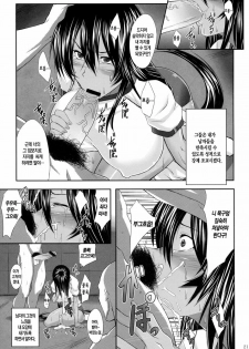 (C79) [Kikuya (Kimura Naoki)] Kanu Rouraku (Ikkitousen) [Korean] [Project H] - page 20