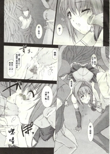 [MISS BLACK] 超昂閃忍 ハルカ - page 25