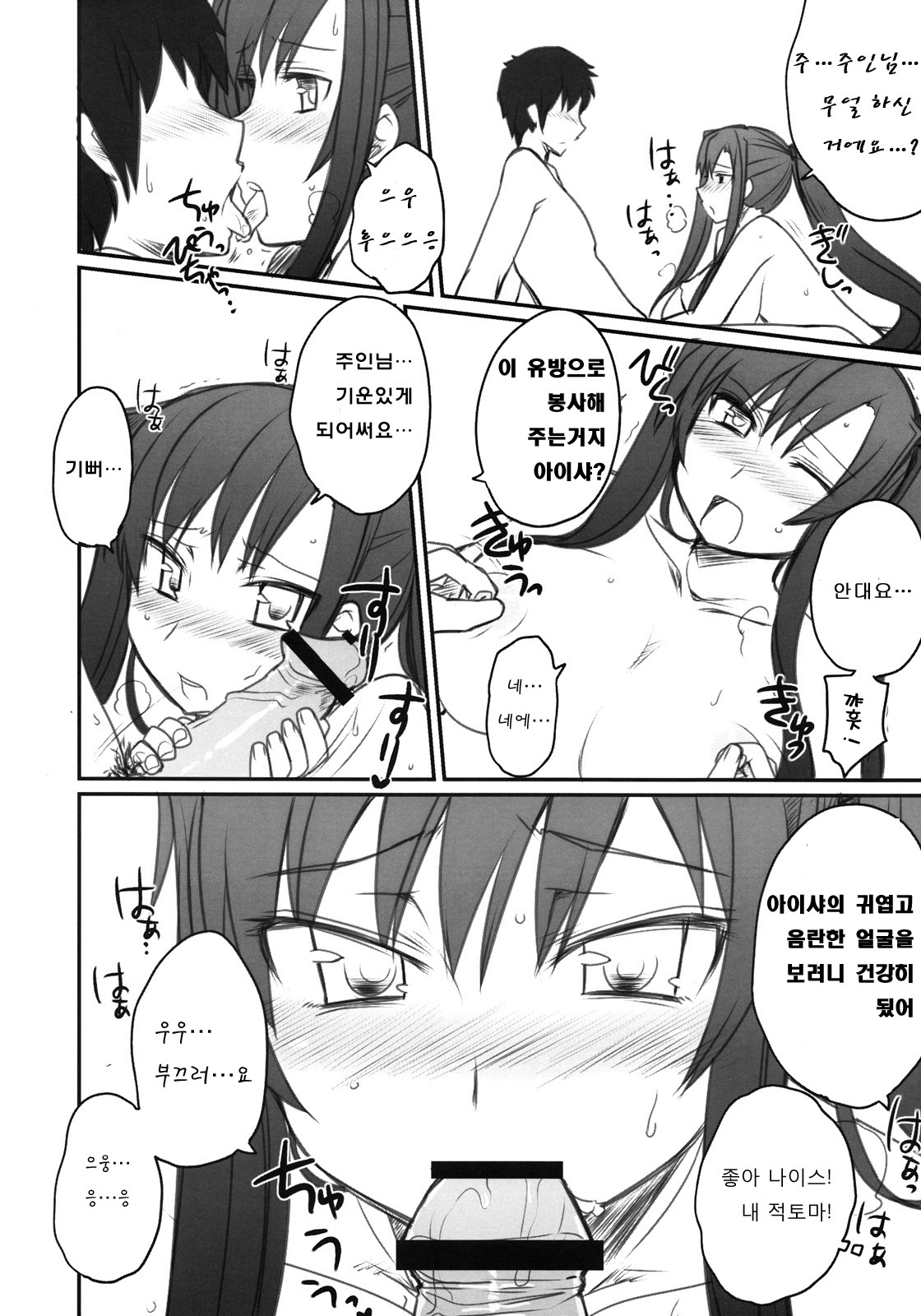 (C78) [Kotoshiki (Mukoujima Tenro)] Ryuuko Aiutsu!? | 용호상바악!? (Koihime Musou) [Korean] [팀☆면갤] page 11 full