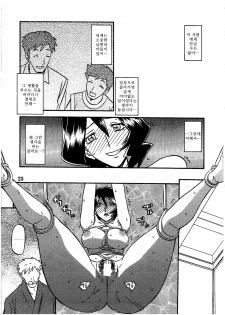 (C79) [Sankaku Apron (Sanbun Kyoden, Umu Rahi)] Saneishou -Sayoko- [Korean] [Project H] - page 23