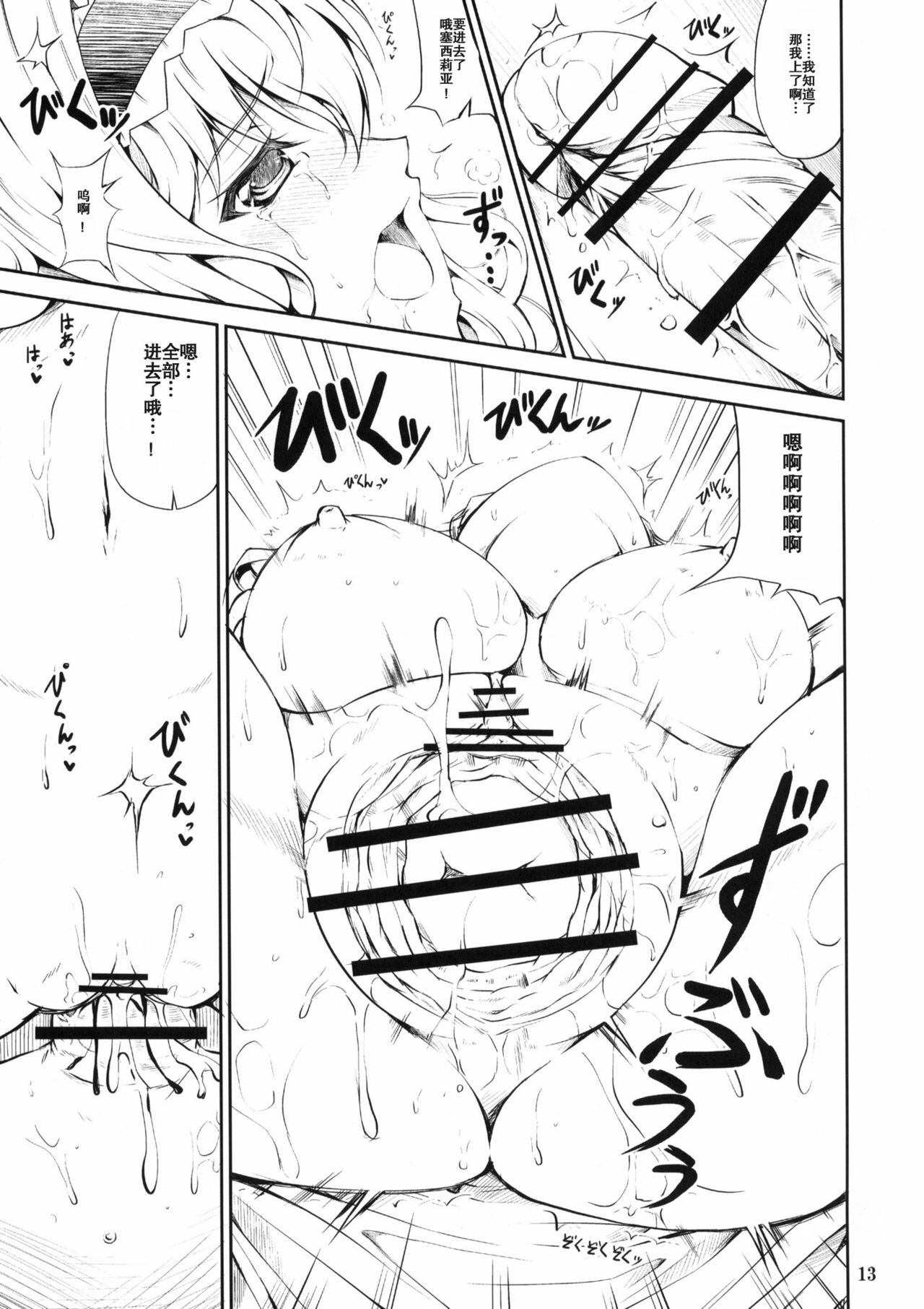 (SC51) [RED CROWN (Ishigami Kazui)] SE Cecilia to Ecchi na Koto Sitai!!! (IS ) [Chinese] [空気系汉化] page 12 full